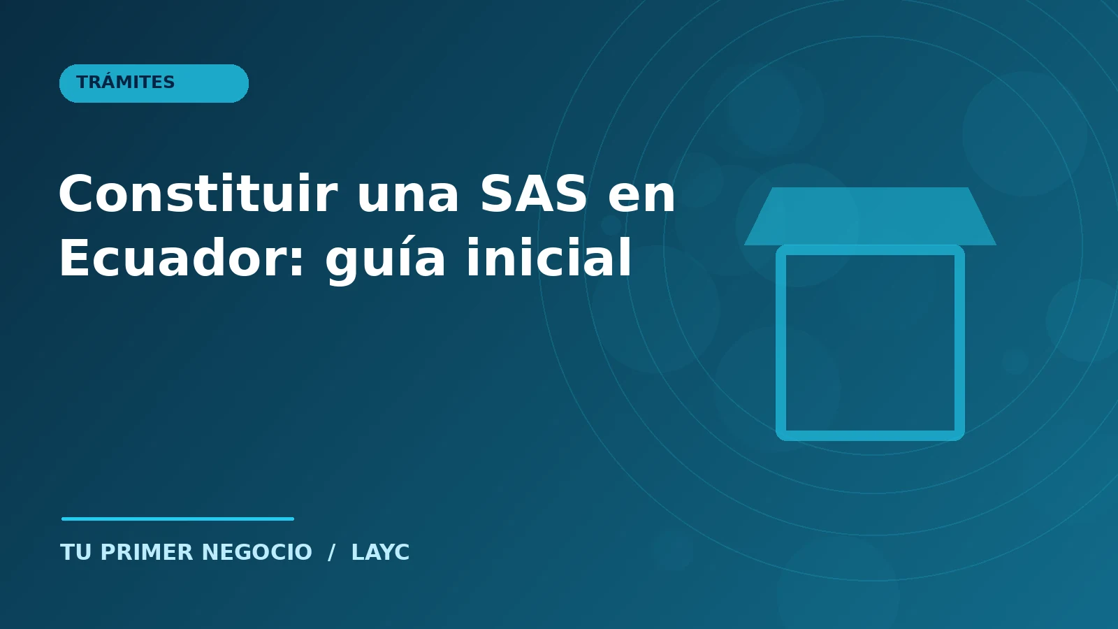 Constituir una SAS en Ecuador: guía inicial